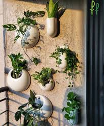 Wall Planters